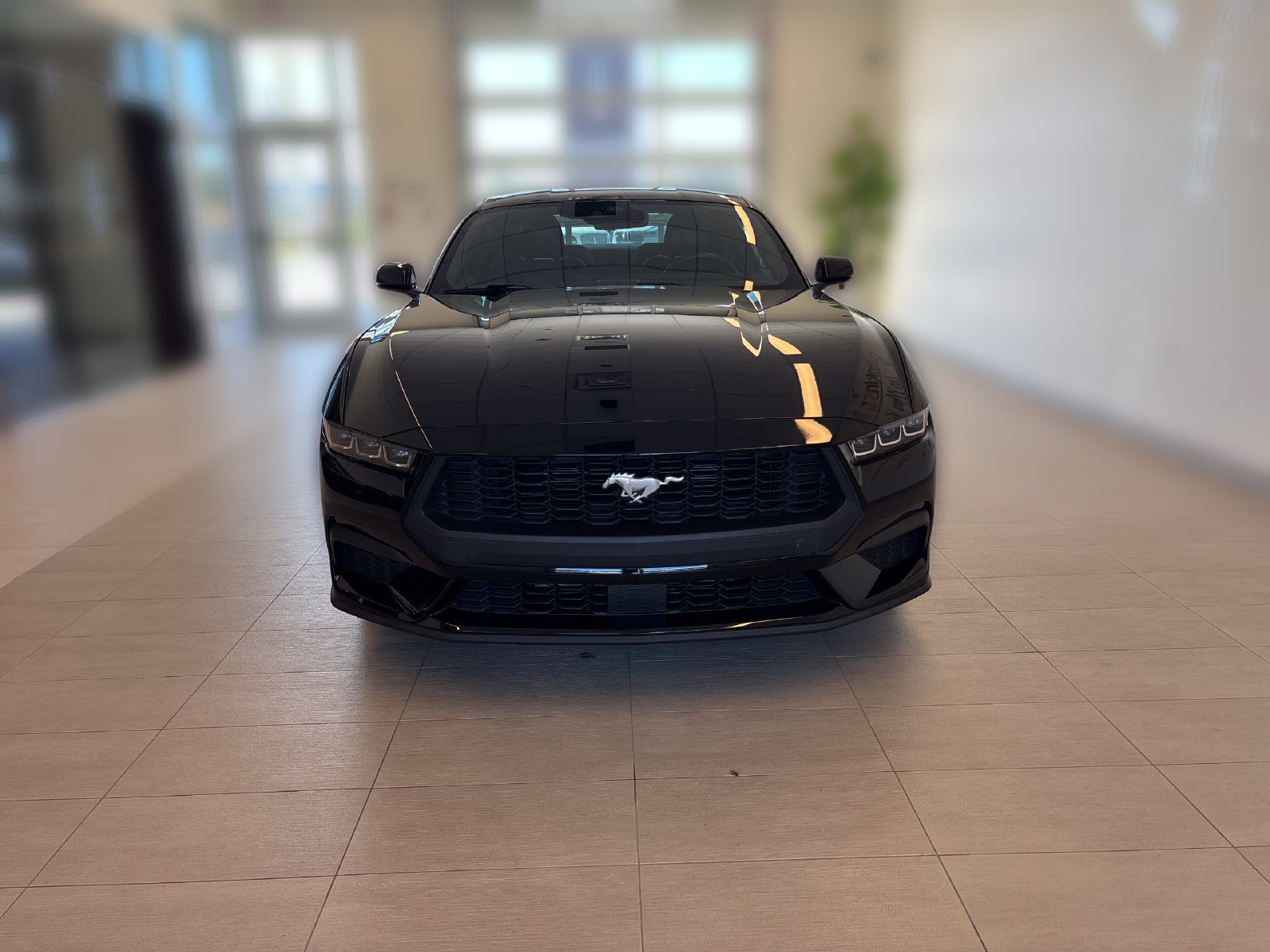 Certified 2024 Ford Mustang Premium RWD image 5