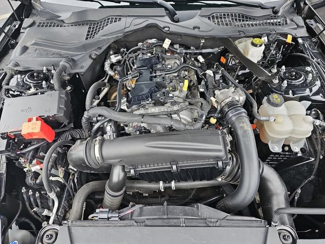 Certified 2024 Ford Mustang Premium RWD image 31