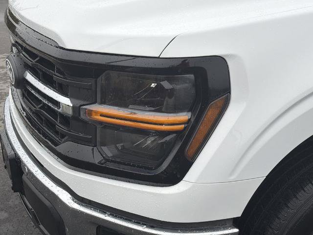 Certified 2024 Ford F150 XLT w/ Equipment Group 302A MID image 8