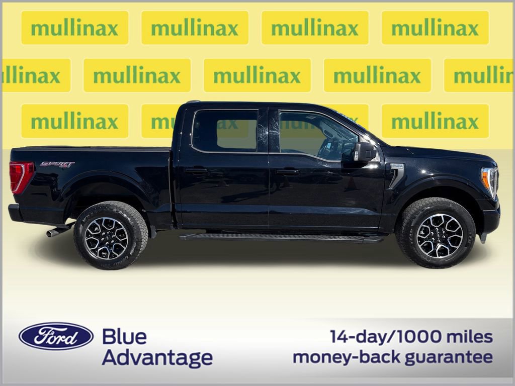 Certified 2023 Ford F150 XLT w/ Equipment Group 302A High image 2