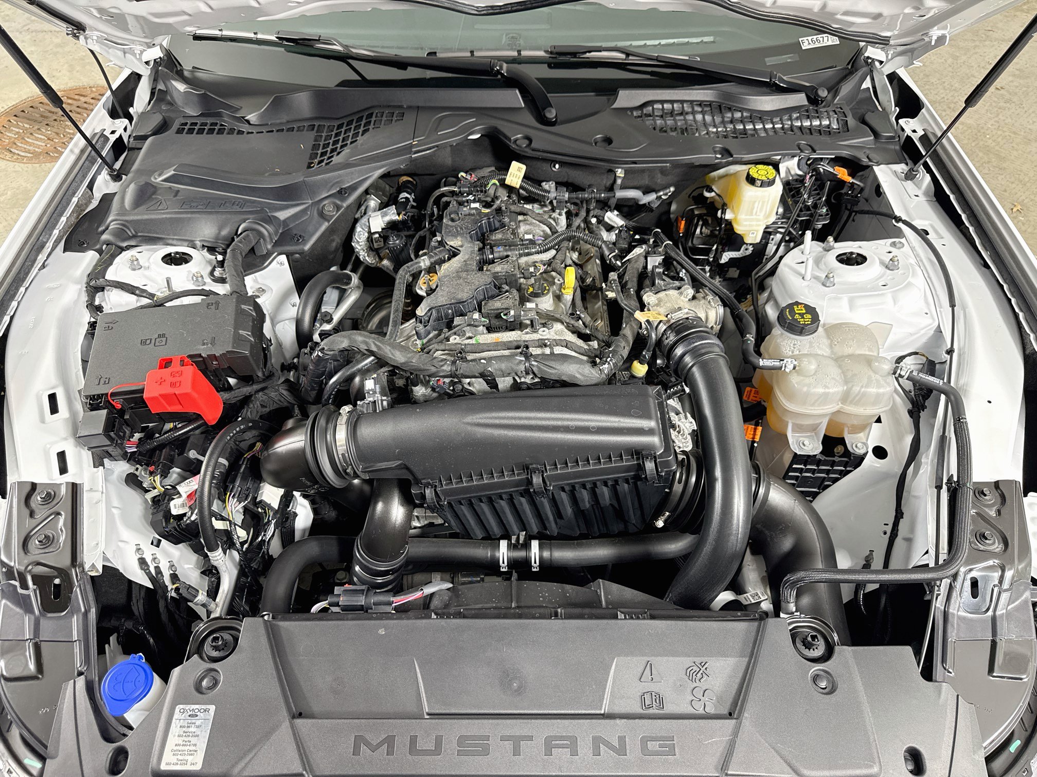 Certified 2025 Ford Mustang Coupe RWD image 28