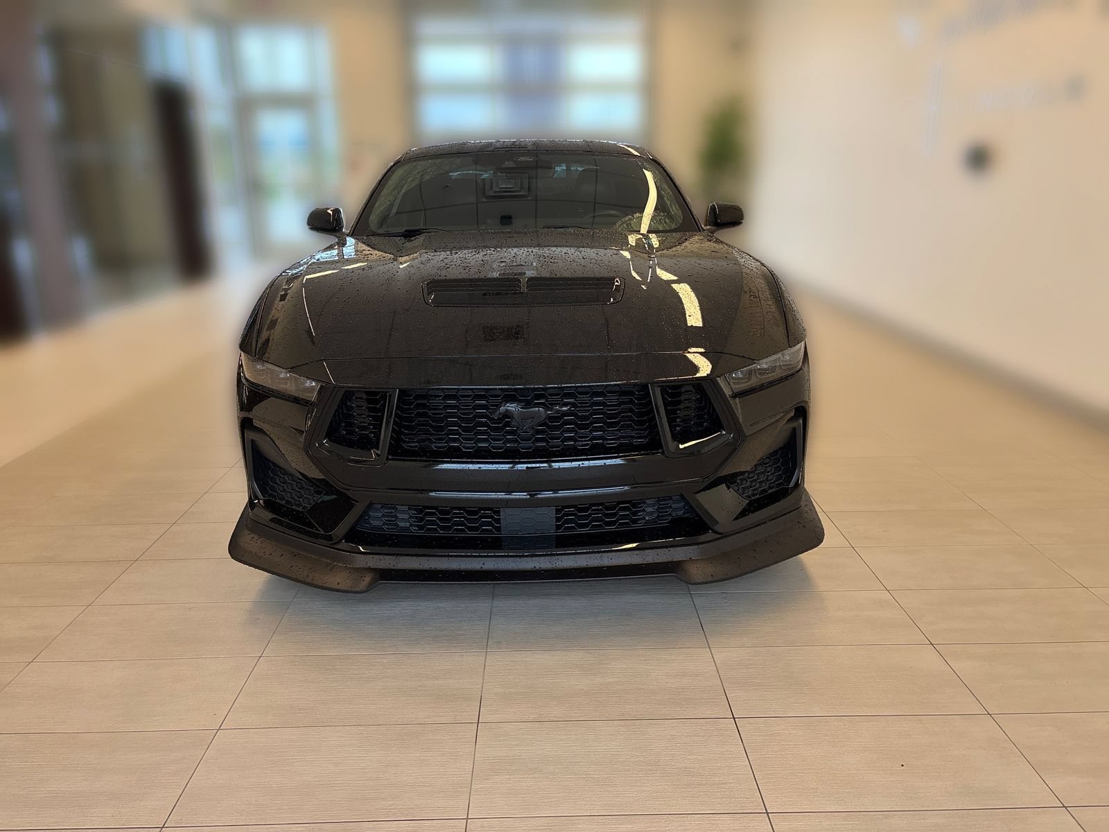 Certified 2024 Ford Mustang GT Premium RWD image 5