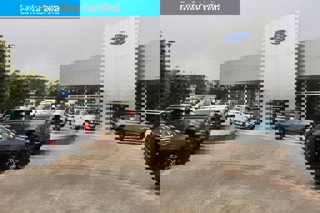 Certified 2025 Ford Expedition Active image 31