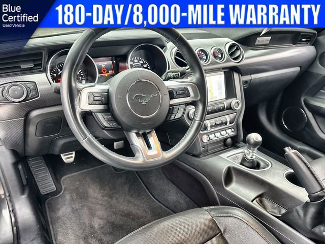 Certified 2019 Ford Mustang GT Premium w/ GT Performance Package RWD image 12