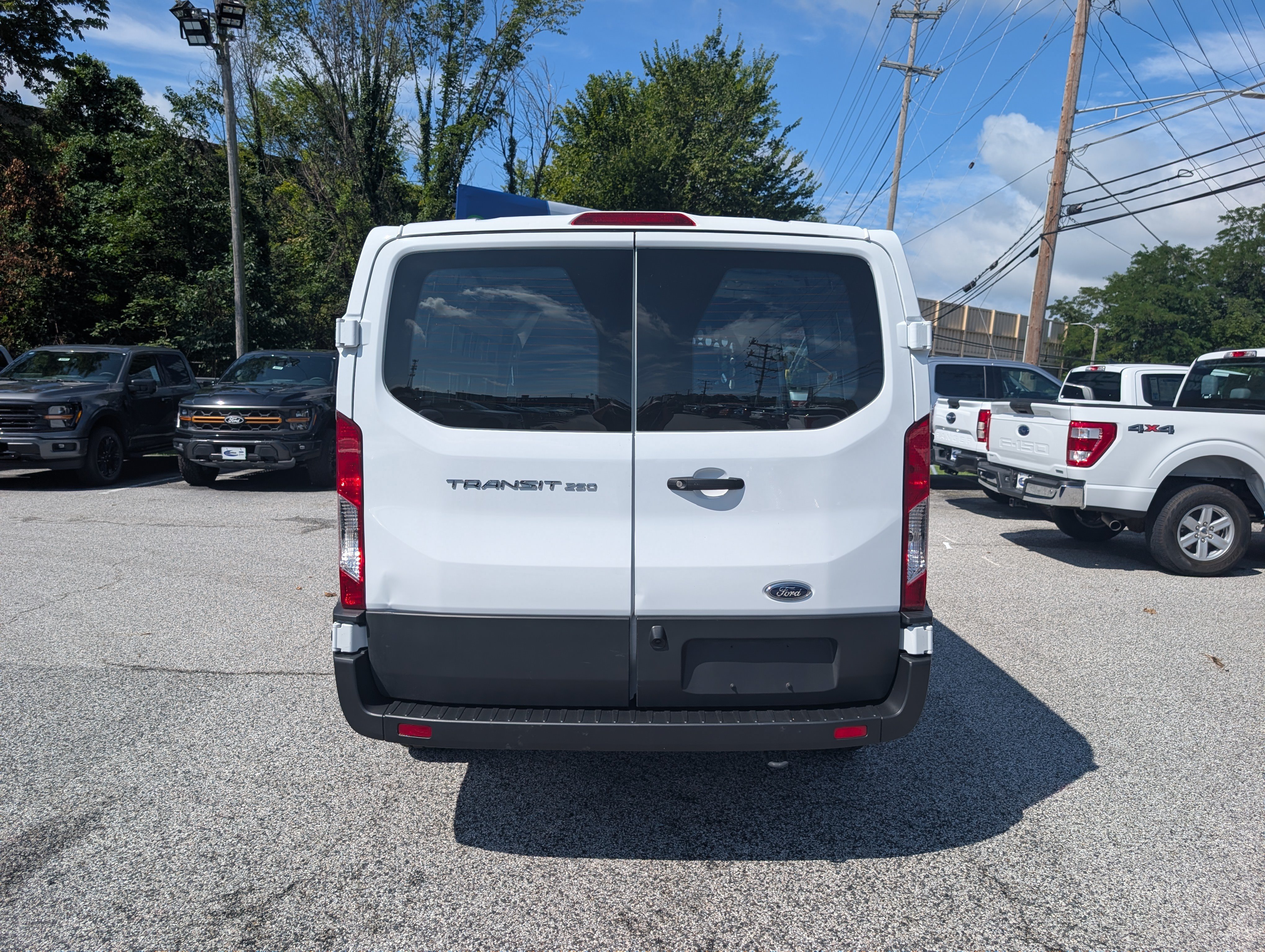 Certified 2025 Ford Transit 250 Low Roof w/ Exterior Upgrade Package RWD image 6