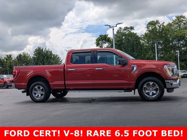 Certified 2023 Ford F150 XLT w/ Equipment Group 302A High AWD/4WD image 4