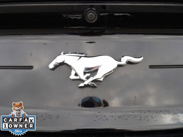 Certified 2023 Ford Mustang Premium image 14