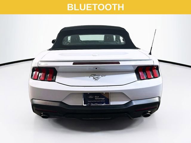 Certified 2024 Ford Mustang Premium image 6