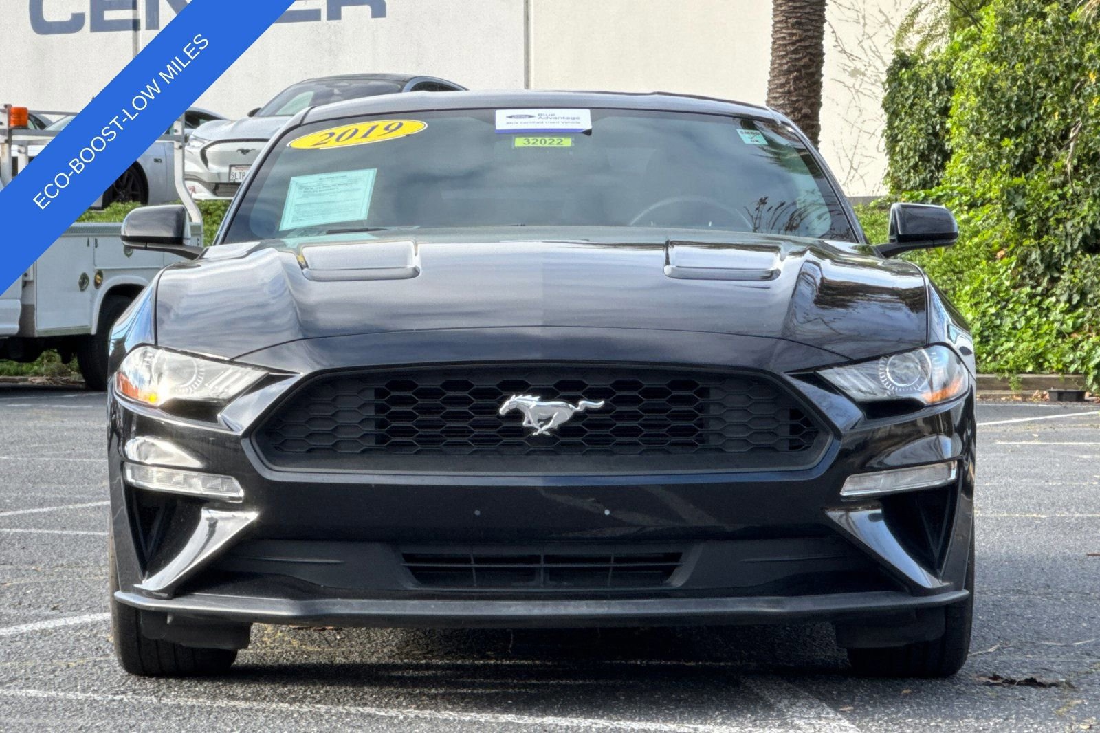 Certified 2019 Ford Mustang EcoBoost image 9