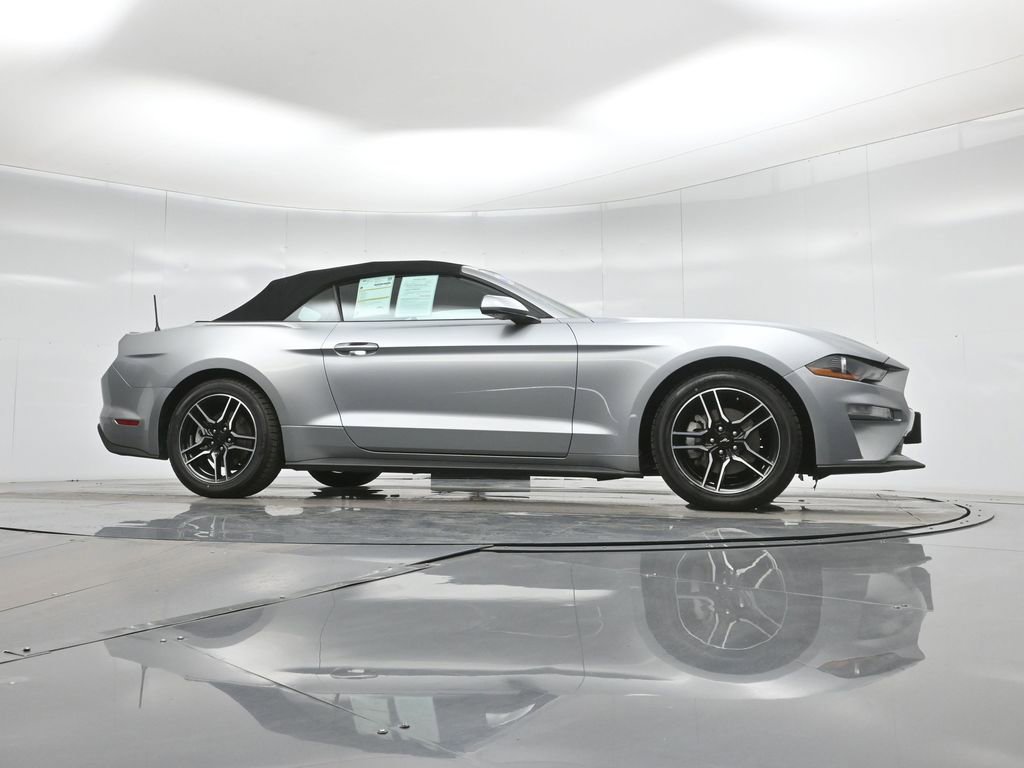 Certified 2023 Ford Mustang Premium image 4