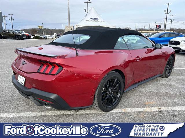 Certified 2024 Ford Mustang Premium image 4