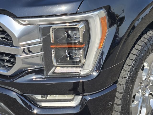 Certified 2022 Ford F150 Platinum w/ Equipment Group 701A High AWD/4WD image 8