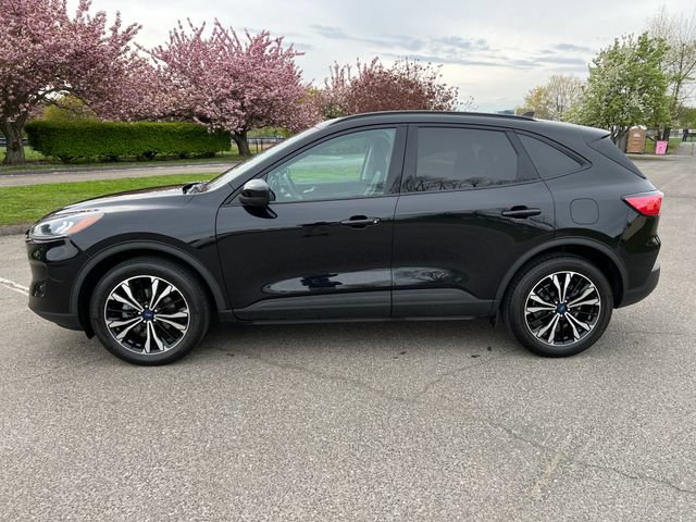 Certified 2022 Ford Escape SEL w/ SEL Stealth AWD Package image 6