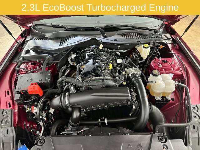 Certified 2026 Ford Mustang Coupe RWD image 30