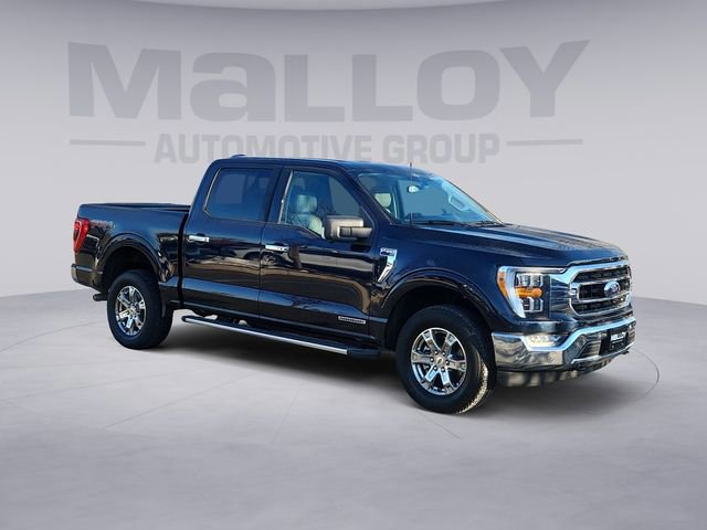 Certified 2022 Ford F150 XLT w/ Equipment Group 302A High image 7