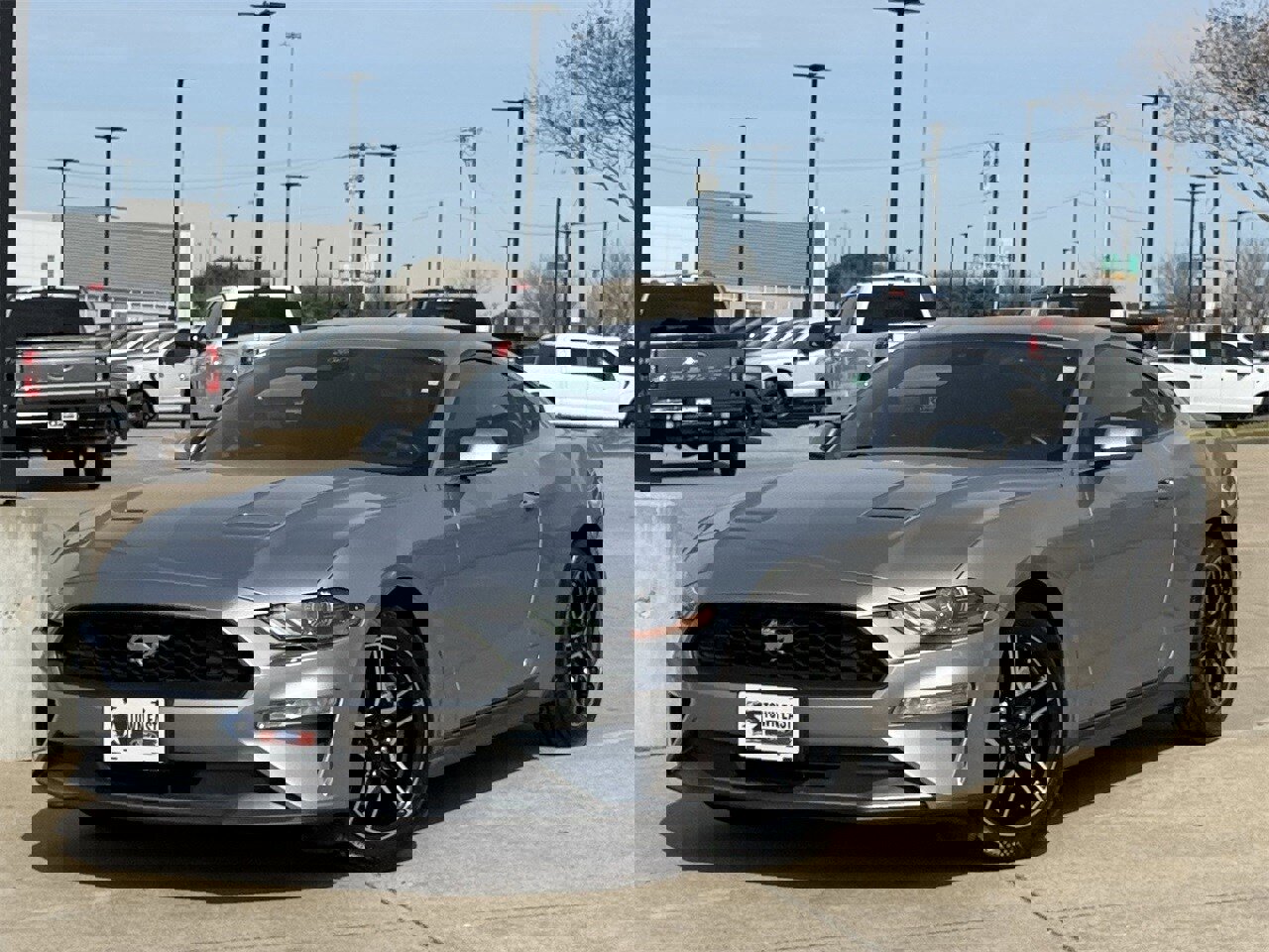 Certified 2023 Ford Mustang Premium image 2