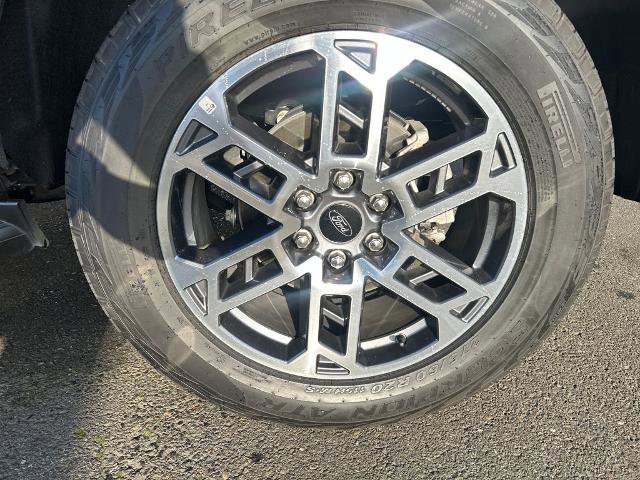 Certified 2025 Ford Expedition Active image 13