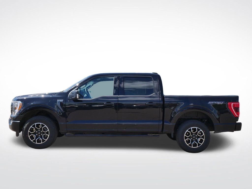 Certified 2023 Ford F150 XLT w/ Equipment Group 302A High AWD/4WD image 6