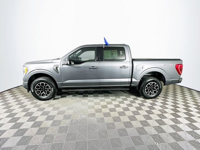 Certified 2023 Ford F150 XLT w/ Equipment Group 302A High AWD/4WD image 8