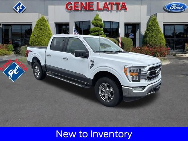 Certified 2023 Ford F150 XLT w/ Equipment Group 302A High image 1