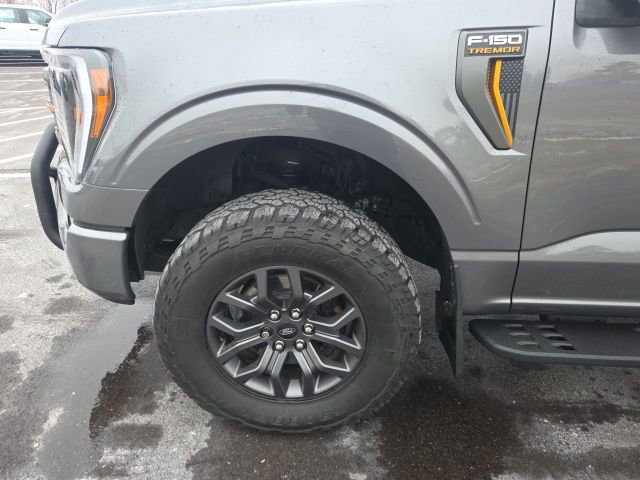 Certified 2023 Ford F150 Tremor image 15