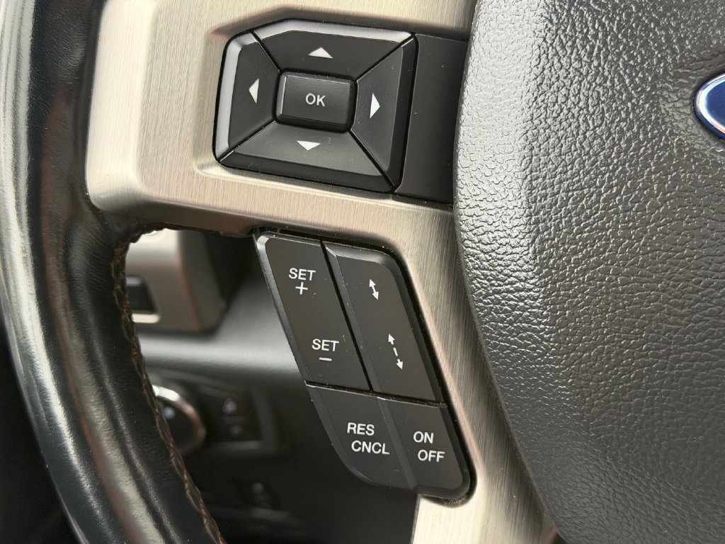 Certified 2022 Ford F450 Platinum w/ FX4 Off-Road Package AWD/4WD image 33