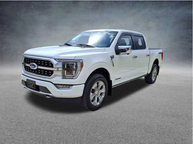 Certified 2023 Ford F150 Platinum w/ Equipment Group 701A High AWD/4WD image 4
