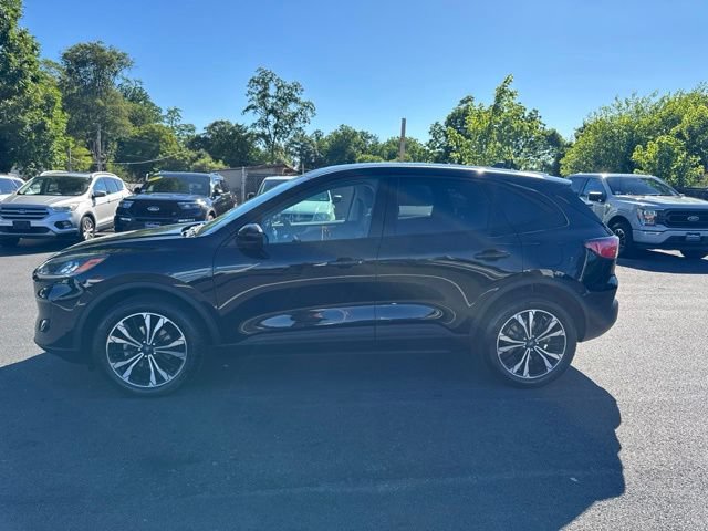 Certified 2022 Ford Escape SE w/ SE Sport Appearance Package AWD/4WD image 5