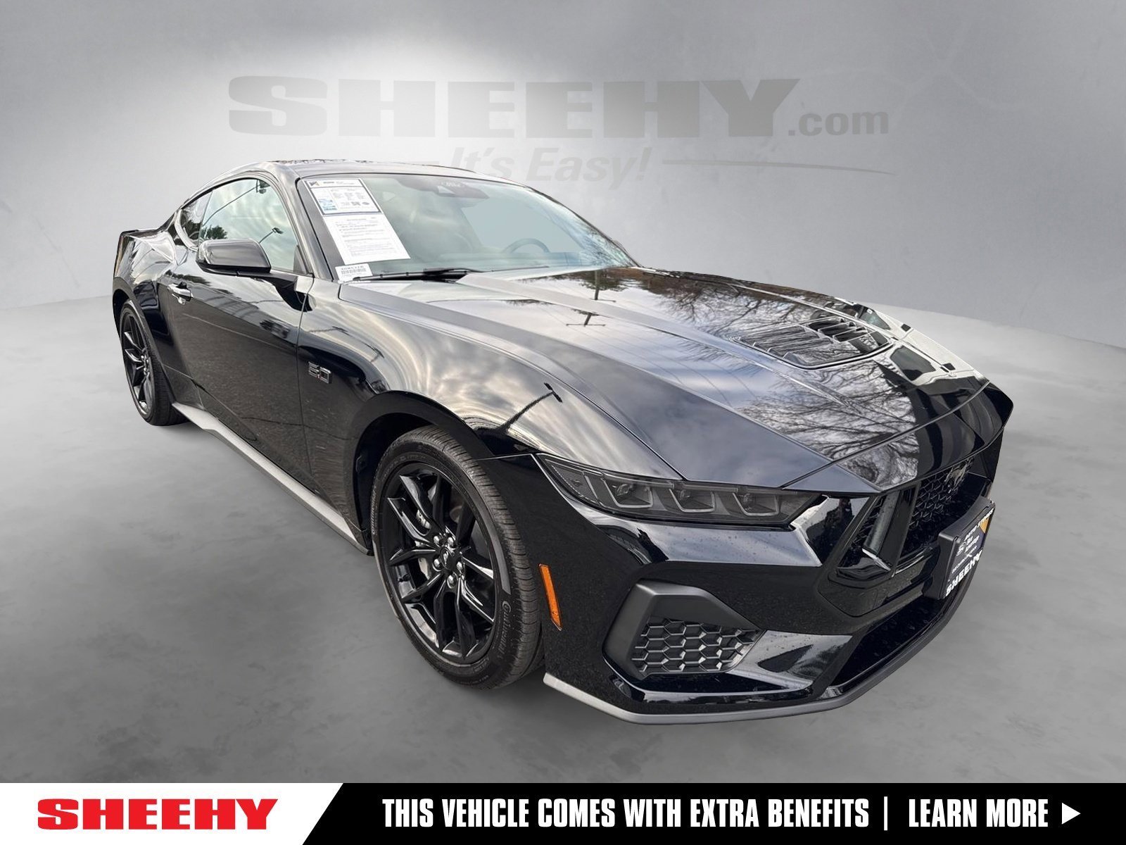 Certified 2025 Ford Mustang GT Premium w/ Mustang Nite Pony Package