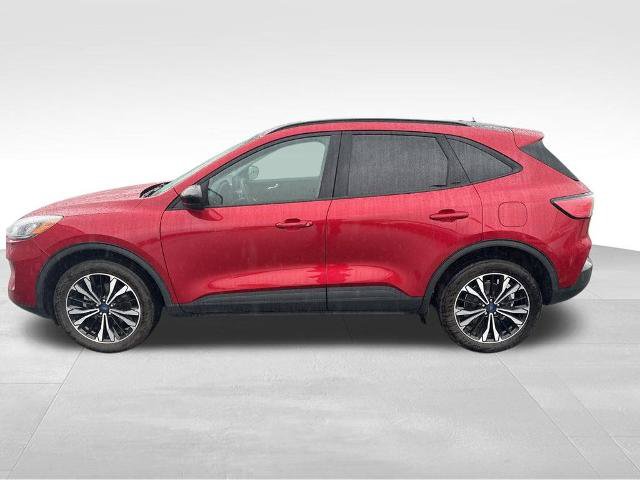 Certified 2022 Ford Escape SEL w/ SEL Stealth AWD Package image 4