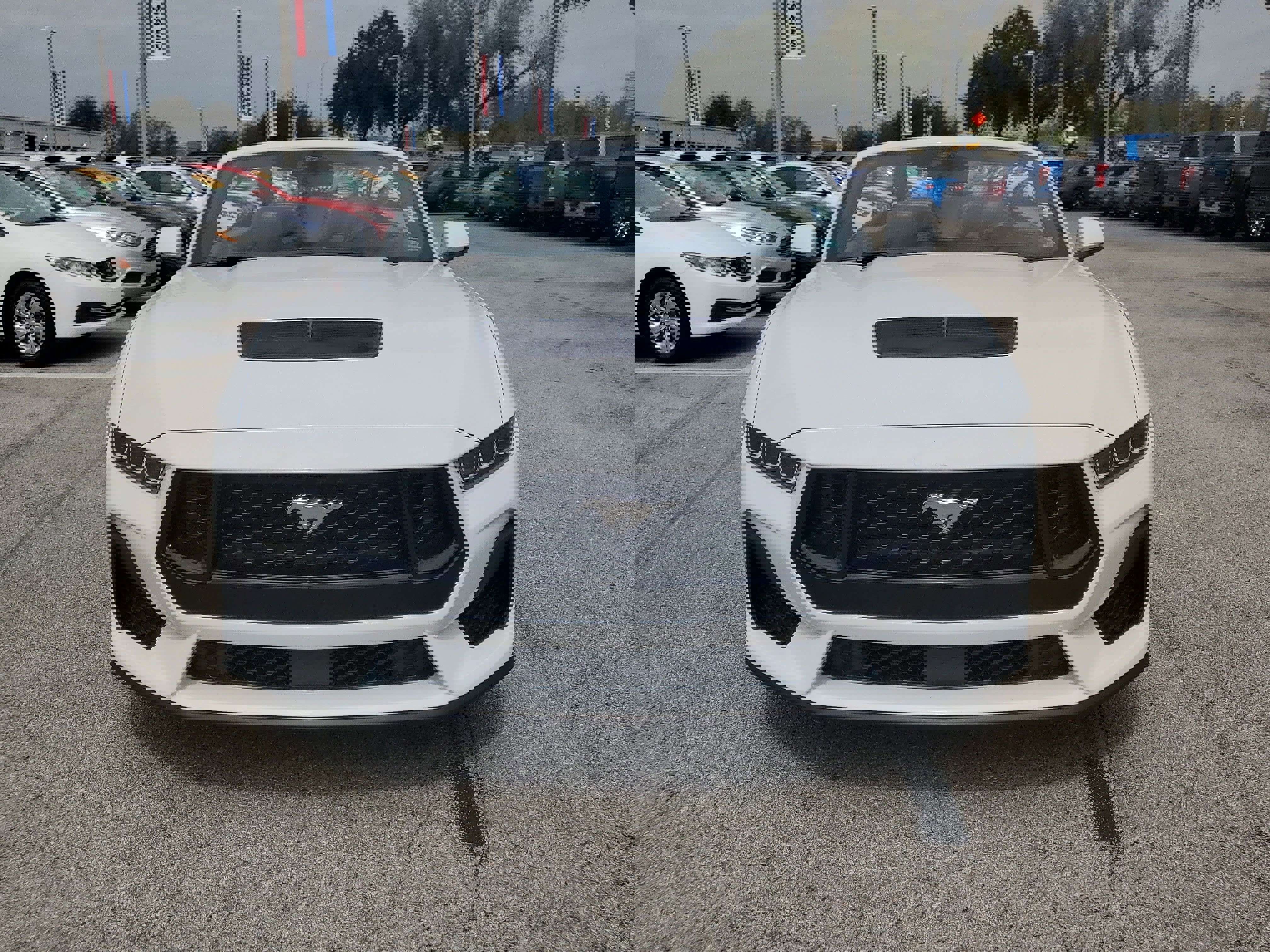 Certified 2025 Ford Mustang GT Premium image 7