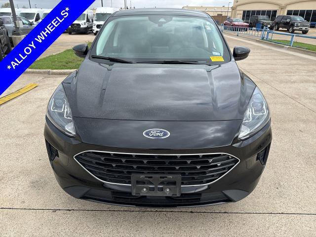 Certified 2022 Ford Escape SE w/ SE Sport Appearance Package image 9