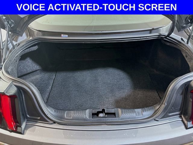 Certified 2023 Ford Mustang Coupe w/ Equipment Group 101A image 13