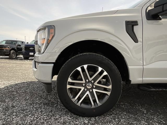 Certified 2023 Ford F150 XL w/ STX Appearance Package image 11