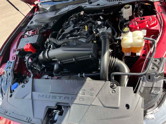 Certified 2024 Ford Mustang Premium RWD image 13