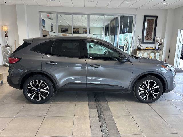 Certified 2022 Ford Escape SE w/ SE Sport Appearance Package image 6