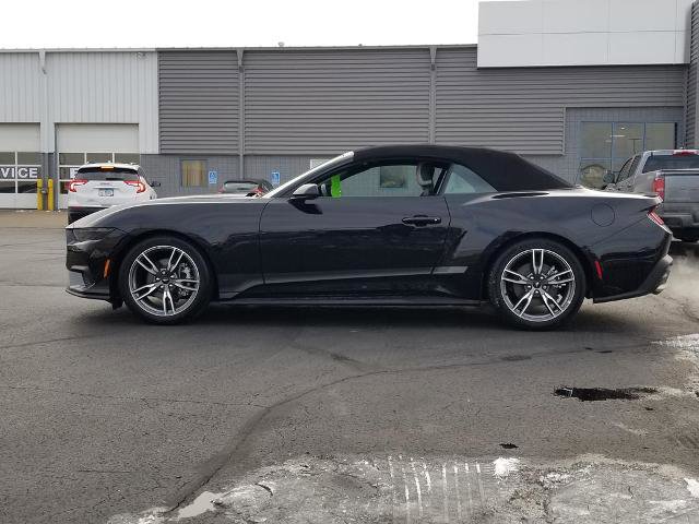 Certified 2025 Ford Mustang Premium w/ Wheel & Stripe Package image 5