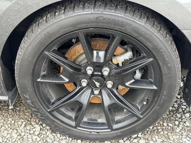 Certified 2017 Ford Mustang GT Premium w/ Equipment Group 401A RWD image 6