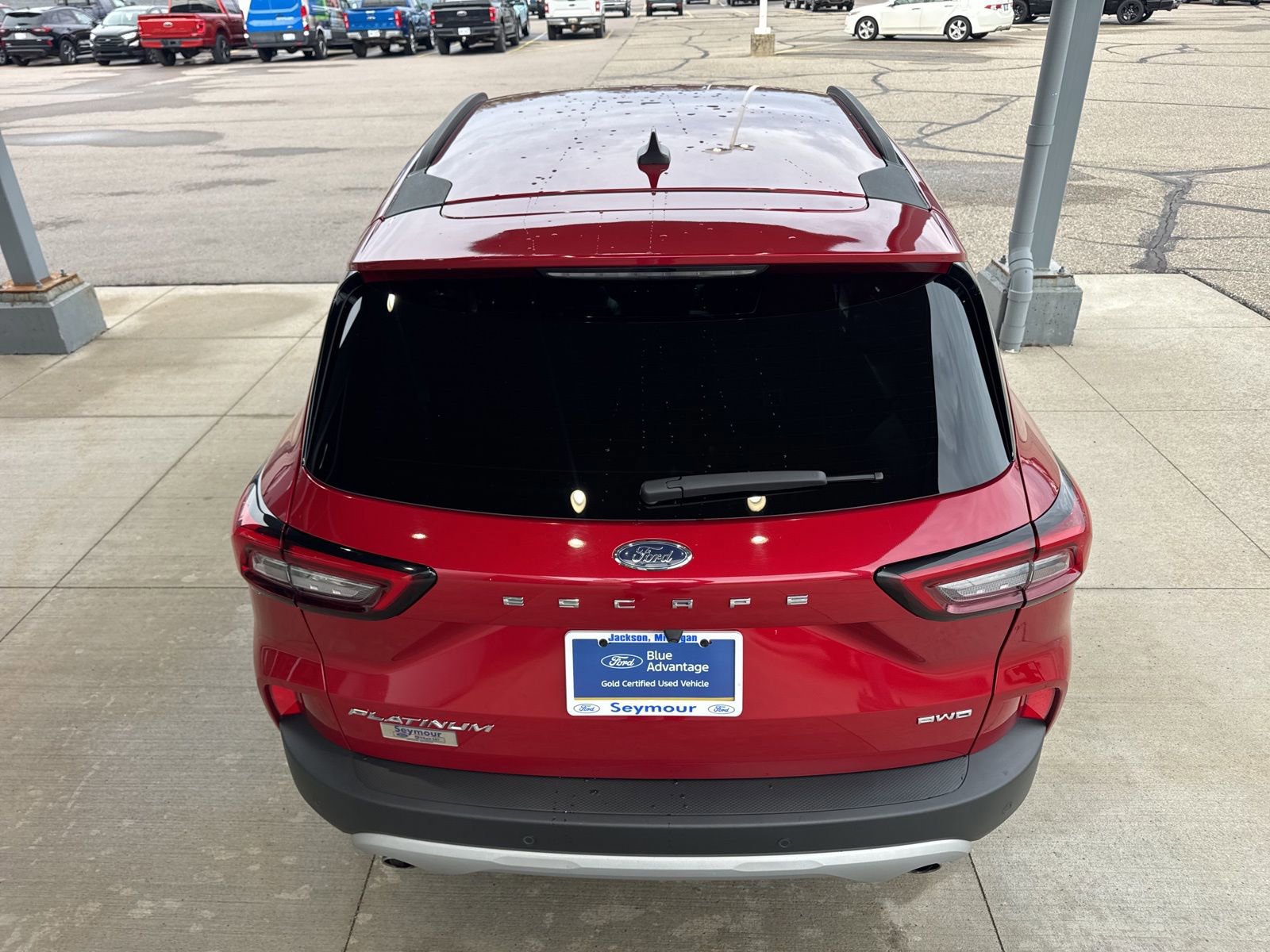 Certified 2023 Ford Escape Platinum image 4