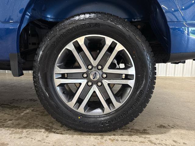 Certified 2023 Ford F150 XL w/ STX Appearance Package AWD/4WD image 7