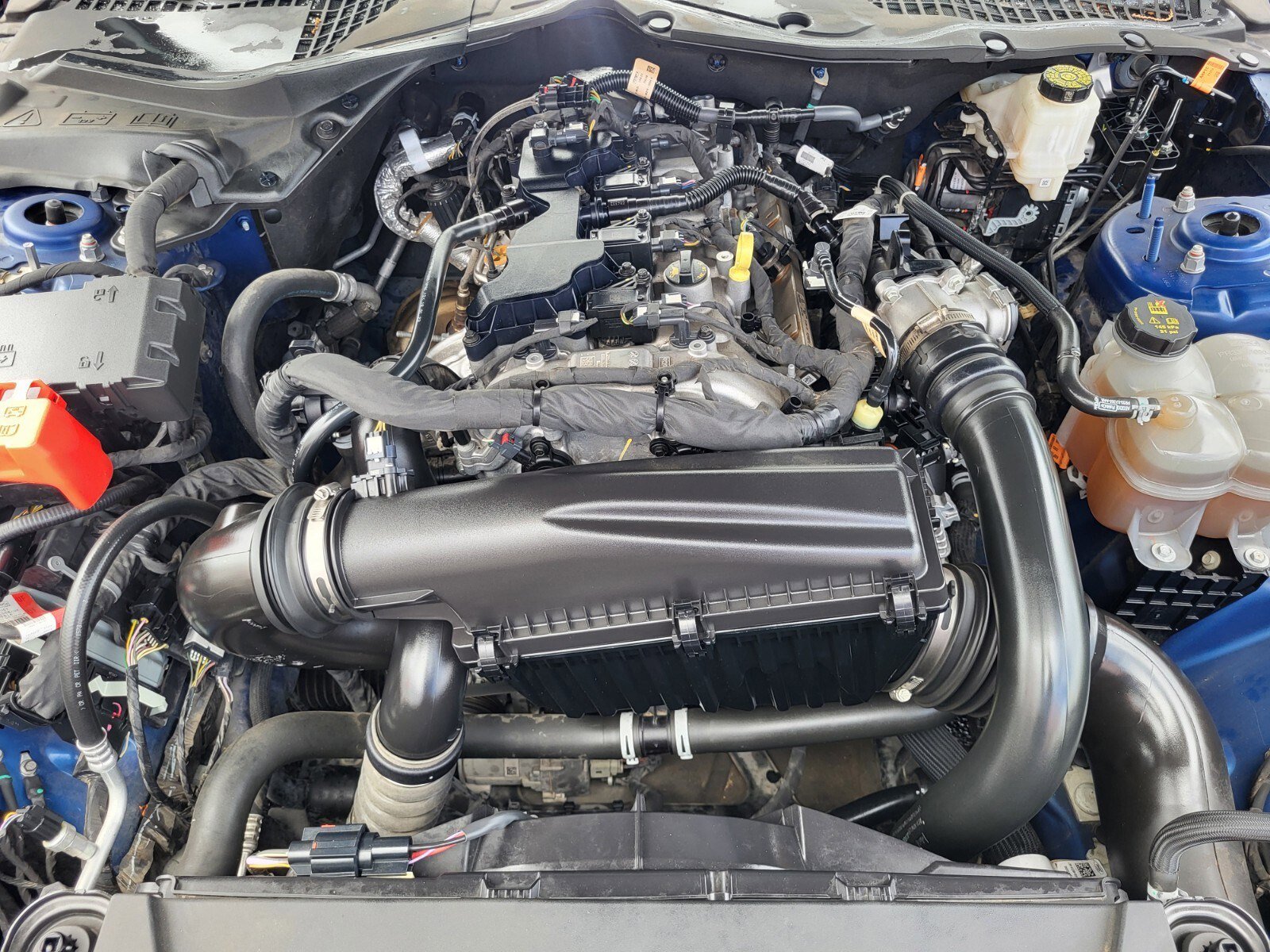 Certified 2024 Ford Mustang Coupe RWD image 31