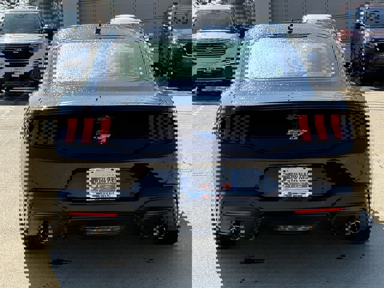 Certified 2025 Ford Mustang Ecoboost image 6