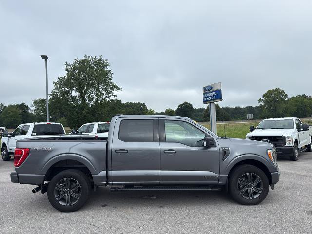 Certified 2023 Ford F150 XLT w/ Equipment Group 302A High AWD/4WD image 4