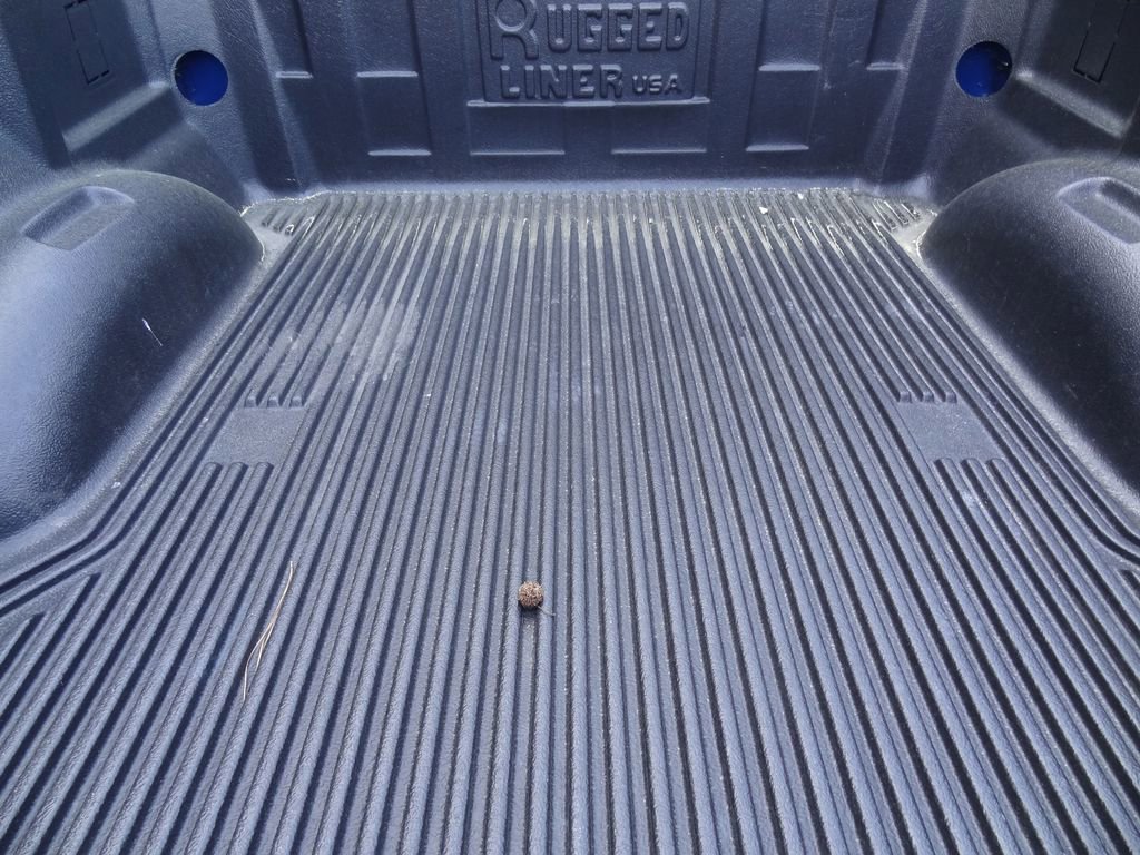 Certified 2025 Ford F150 XLT w/ Equipment Group 301A Standard image 11