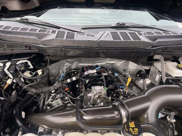 Certified 2025 Ford F150 STX image 37