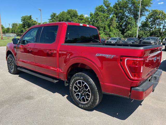 Certified 2021 Ford F150 XLT w/ Equipment Group 302A High AWD/4WD image 5