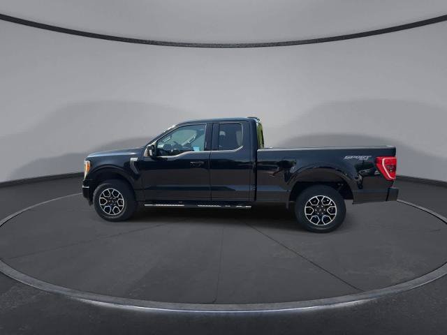 Certified 2023 Ford F150 XLT w/ Equipment Group 302A High AWD/4WD image 5