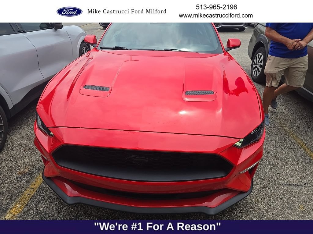 Certified 2019 Ford Mustang Coupe w/ Equipment Group 101A RWD image 2
