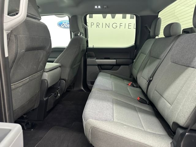 Certified 2025 Ford F150 XLT w/ Equipment Group 301A Standard image 19