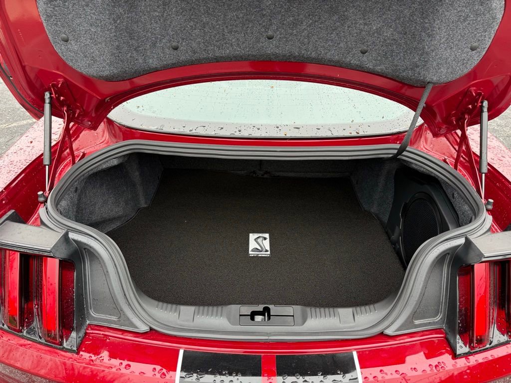 Certified 2019 Ford Mustang Shelby GT350 w/ Technology Package image 21